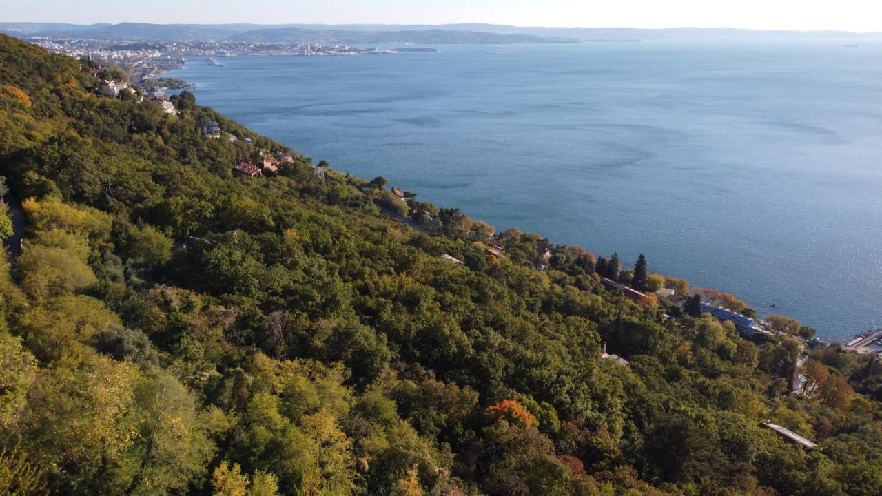 Апартаменты Panorama Ауризина Экстерьер фото